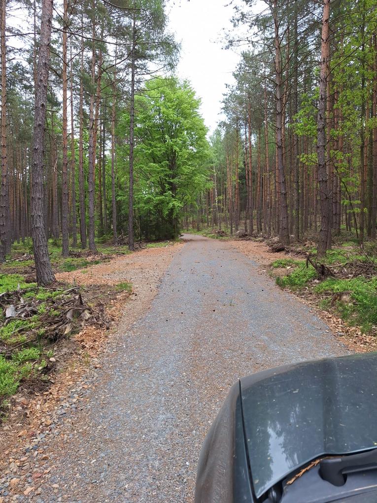 rekonstruovaná lesní cesta 
