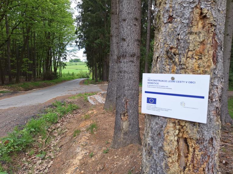 rekonstruovaná lesní cesta 